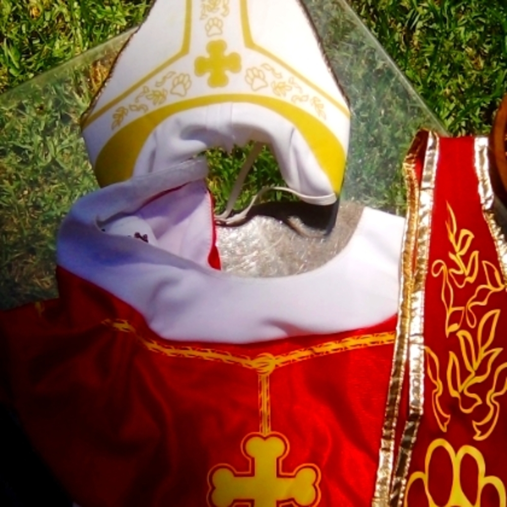 DOG 🐕 COSTUME THE POPE !! Med Size NWOT